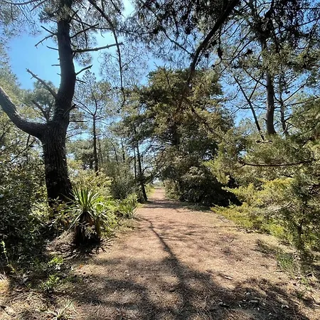 Maison Mitoyenne Confortable, Proche Et Foret - Fr-1-823-35 別荘 バルバトル