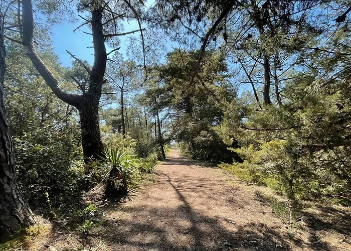 Maison Mitoyenne Confortable, Proche Et Foret - Fr-1-823-35 別荘 バルバトル